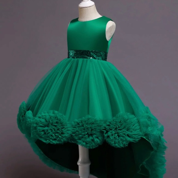 Pageant Girls Elegant Cute Mesh Flower Embroidery Princess Dress - Picture 4 of 8